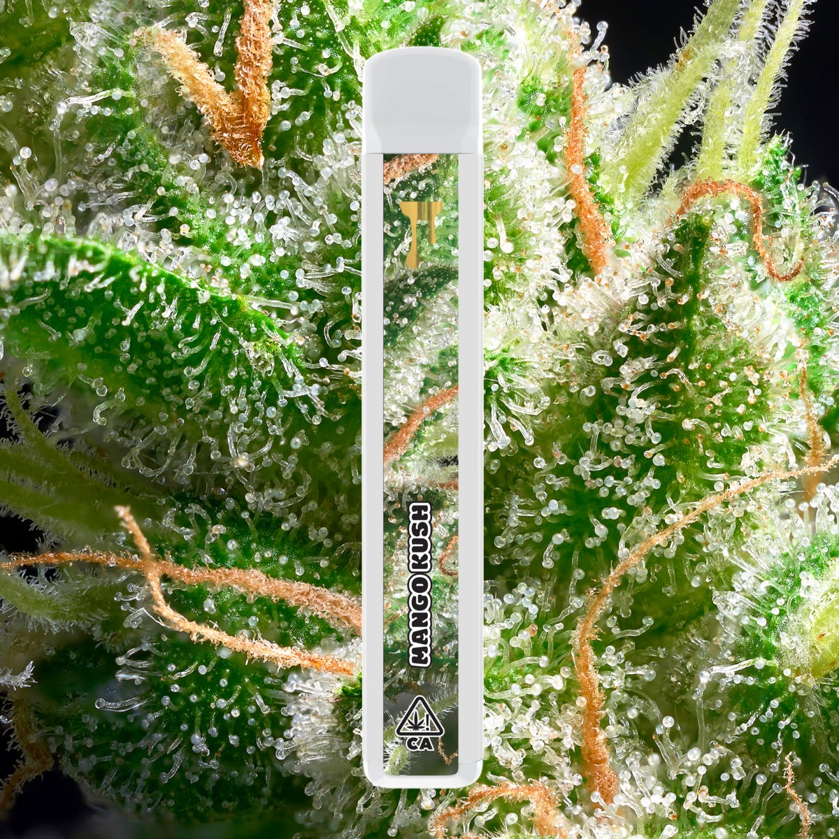 Cryo Cured Resin - Mango Kush - Disposable 1G