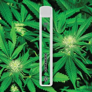 Cryo Cured Resin - Gator Breath - Disposable 1G
