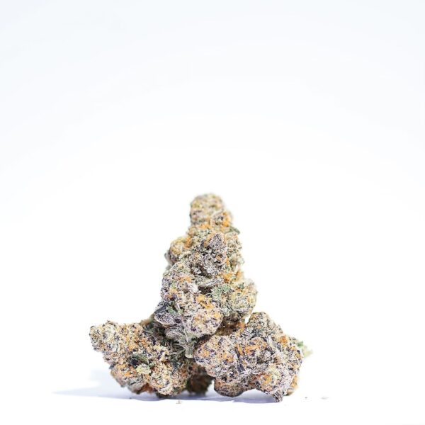 Flower - Sugar Baby - 3.5g cake